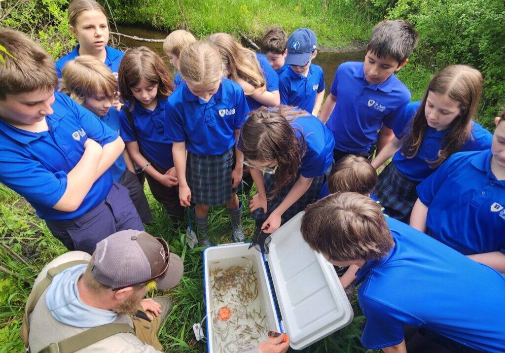 6BF5F228-2F3B-4D71-A02C-088184AC1A8F-scaled